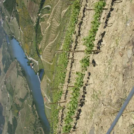 بيت ضيافة Quinta Da Azenha Folgosa (Viseu)