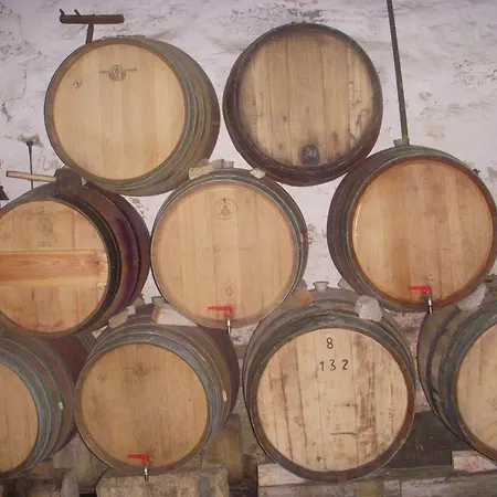 Quinta Da Azenha Гостевой дом