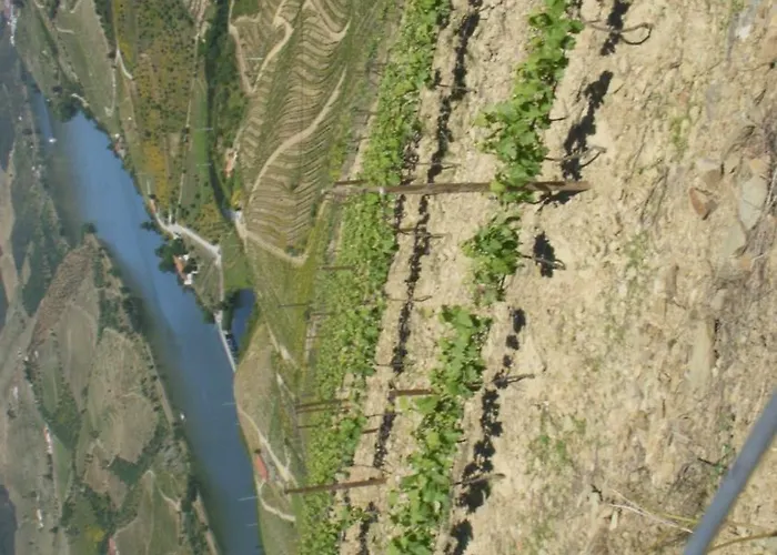 Casa de hóspedes Quinta Da Azenha Folgosa (Viseu)