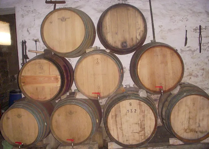 Quinta Da Azenha Casa de hóspedes